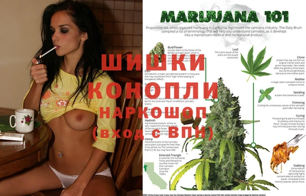 прущий лед Армянск