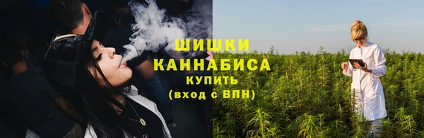 прущие грибы Арсеньев