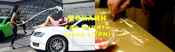 прущие грибы Арсеньев