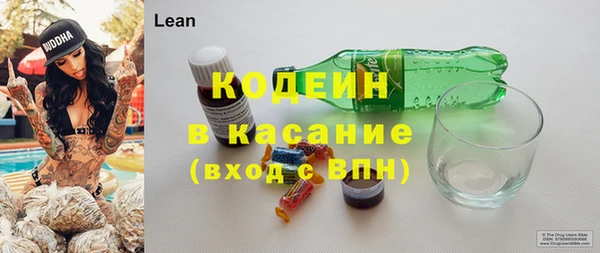 прущие грибы Арсеньев