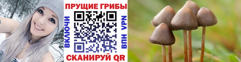 блэк спрут ссылка  Протвино  Галлюциногенные грибы мицелий 